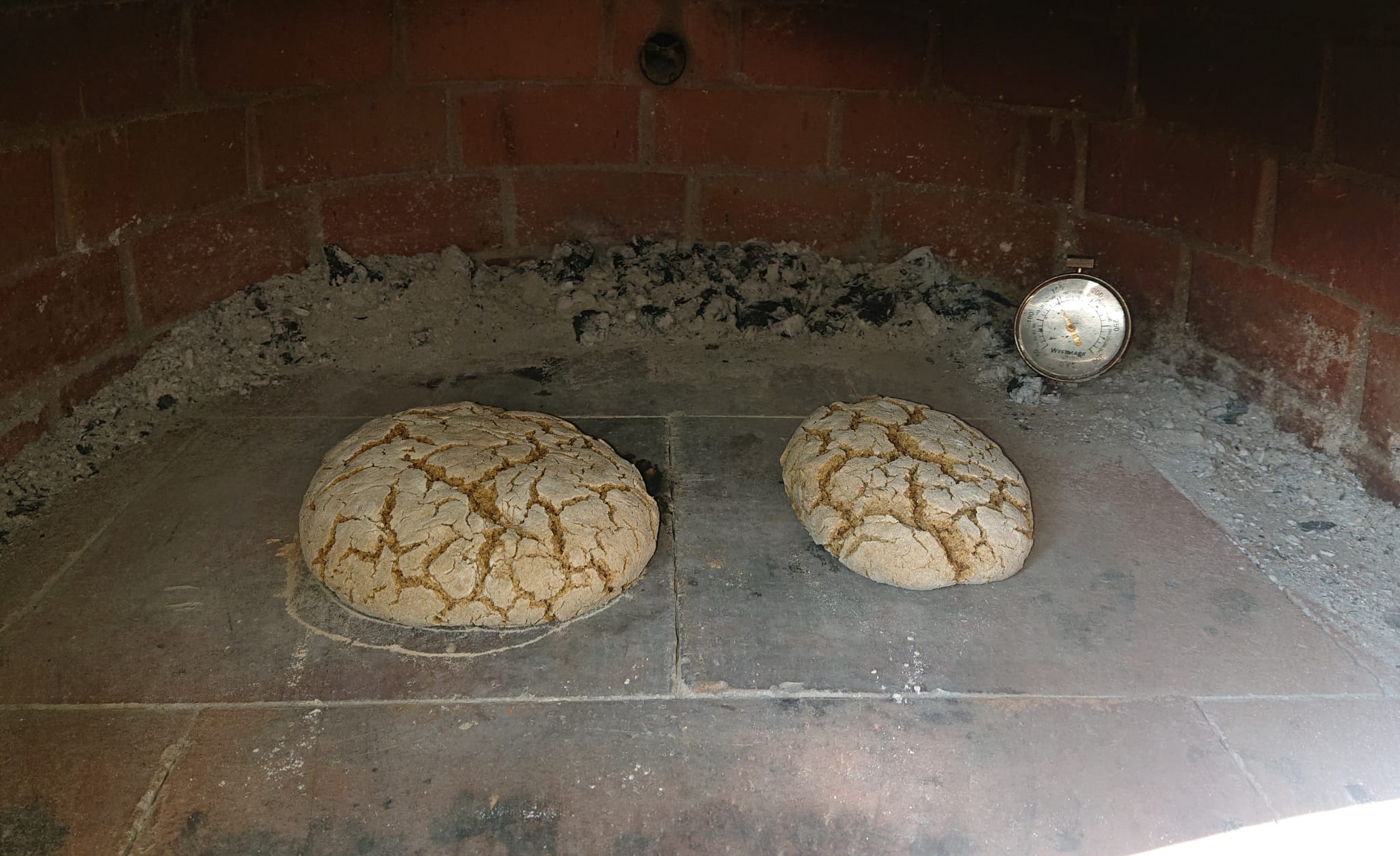 Horno de leña Maestro 100 cm – Horno de Pizza Auténtico