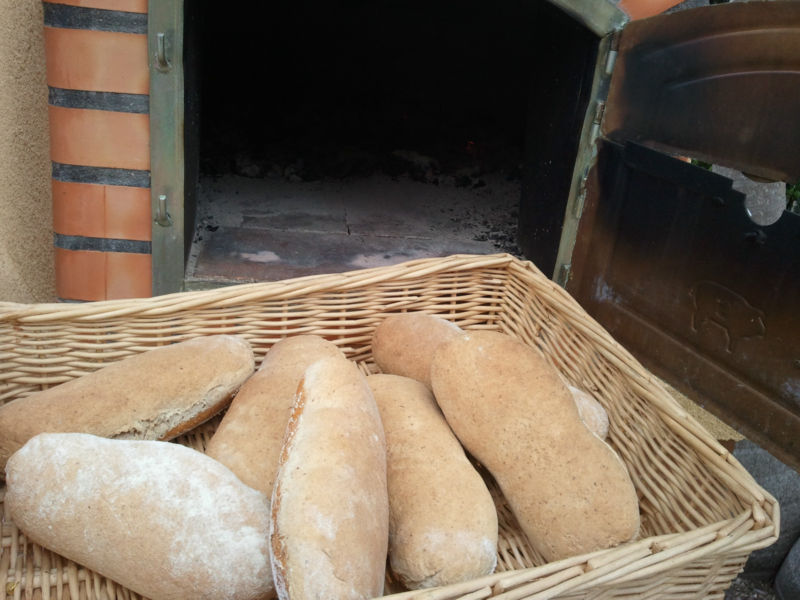 Horno de leña Maestro 100 cm – Horno de Pizza Auténtico